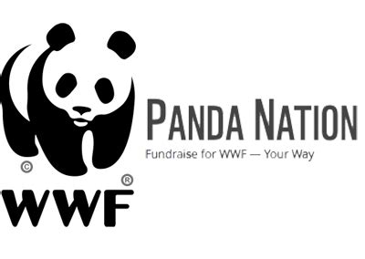 panda charity logo|Brand elements .